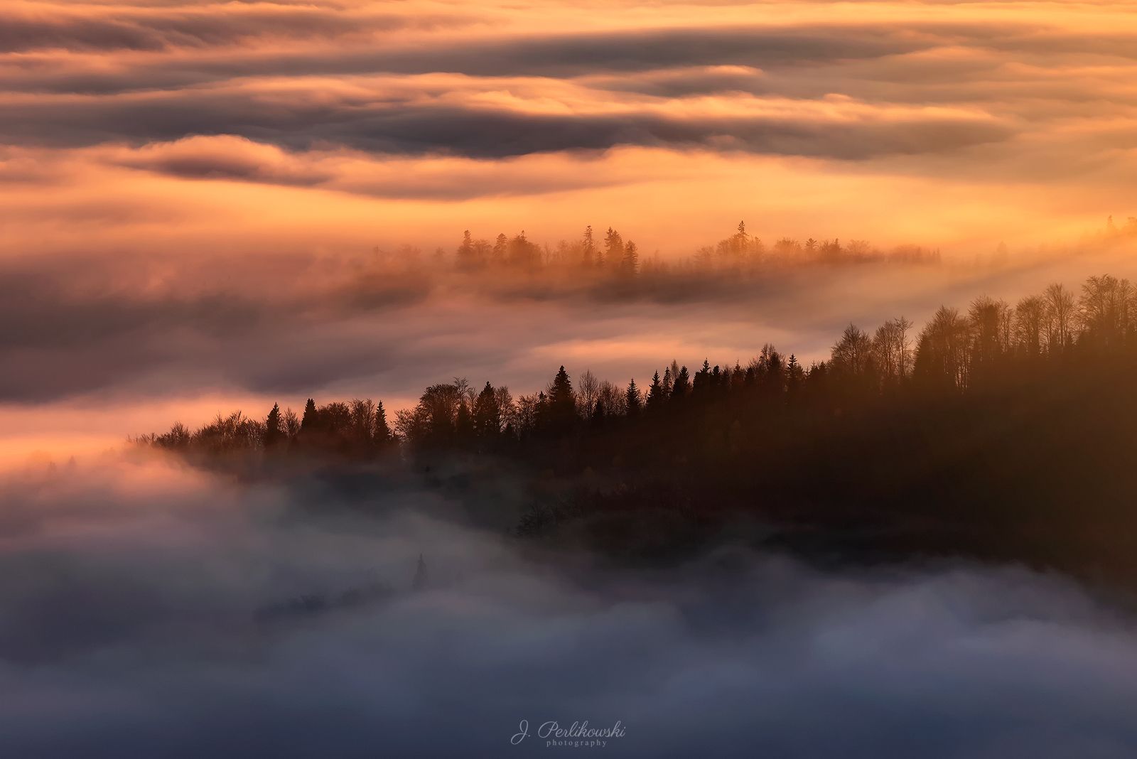forest, mist, fog, sunset,, Jakub Perlikowski