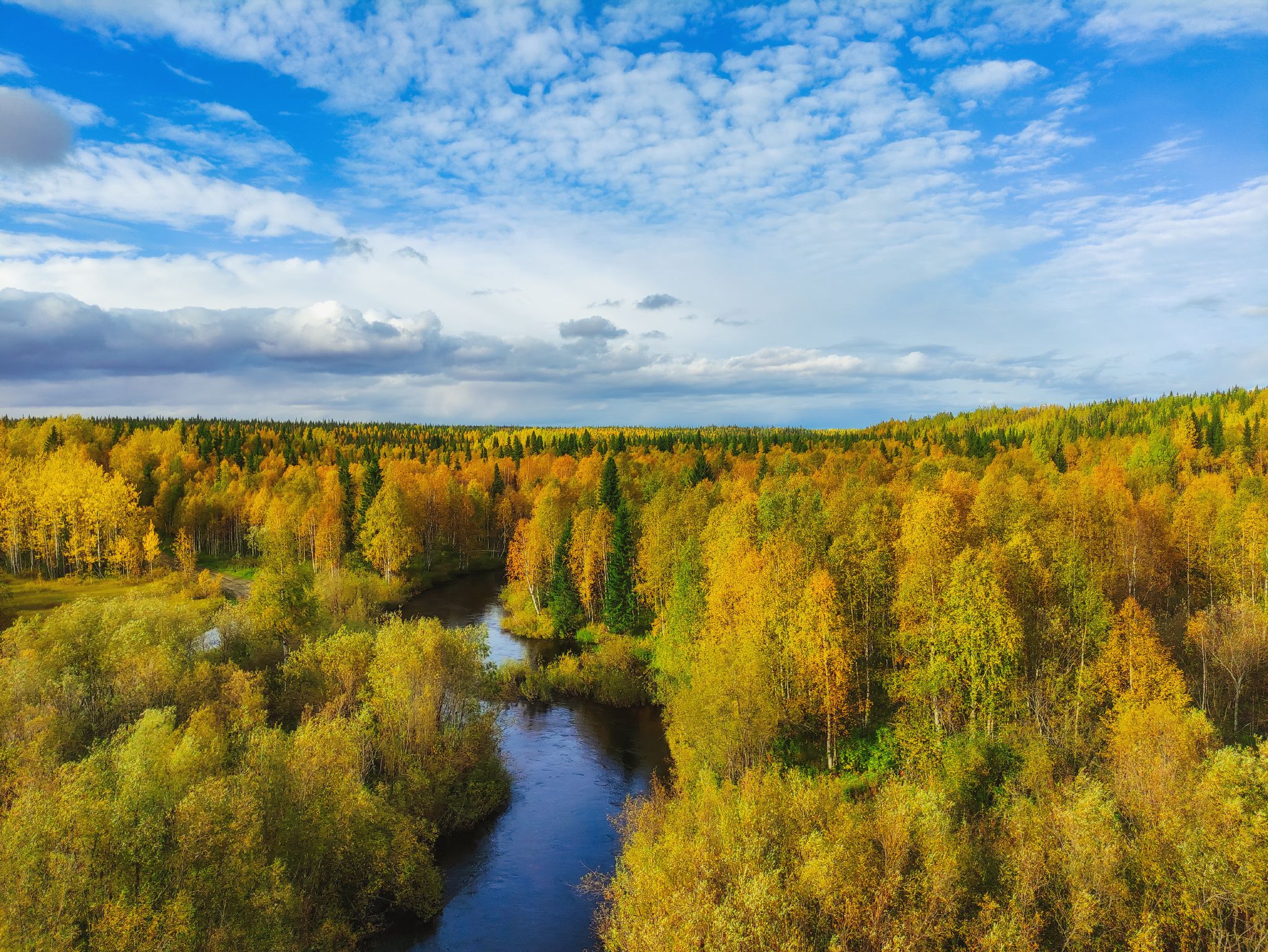 печора, лес, север, Игорь Подобаев