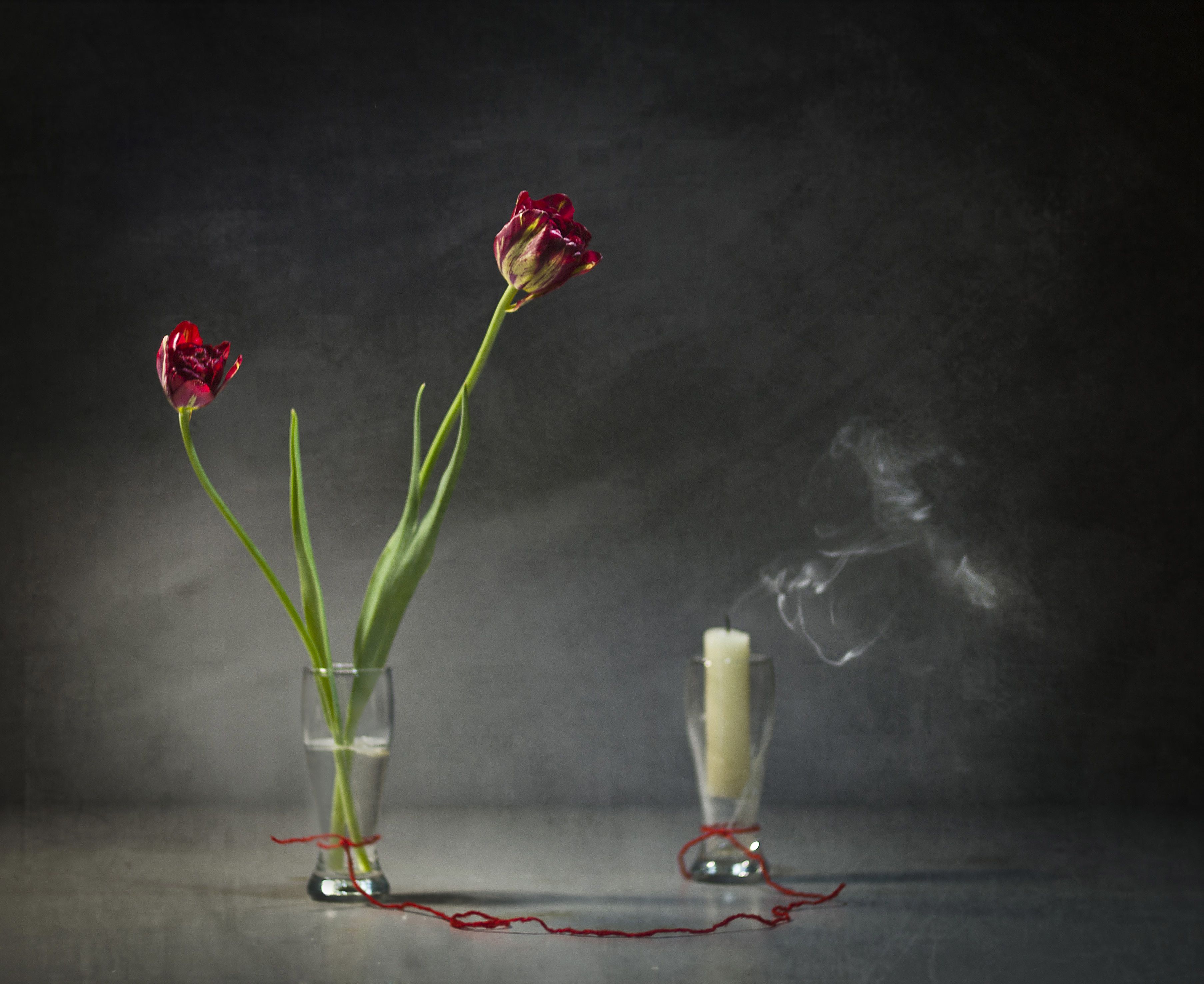 тюльпаны, свеча, дым, Оксана Евкодимова