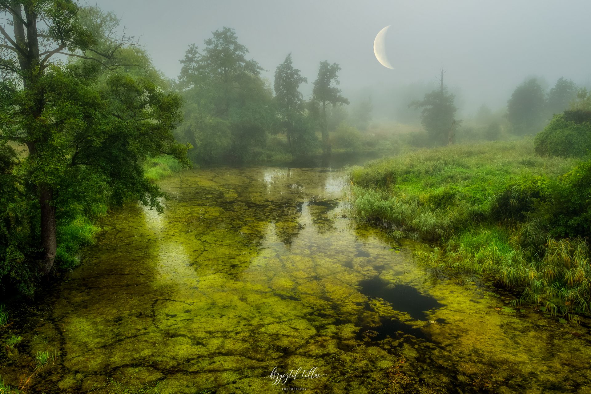 moon, river, fog, nature, sky, algae, trees, nikon, atmosphere, landscape, dawn, Krzysztof Tollas