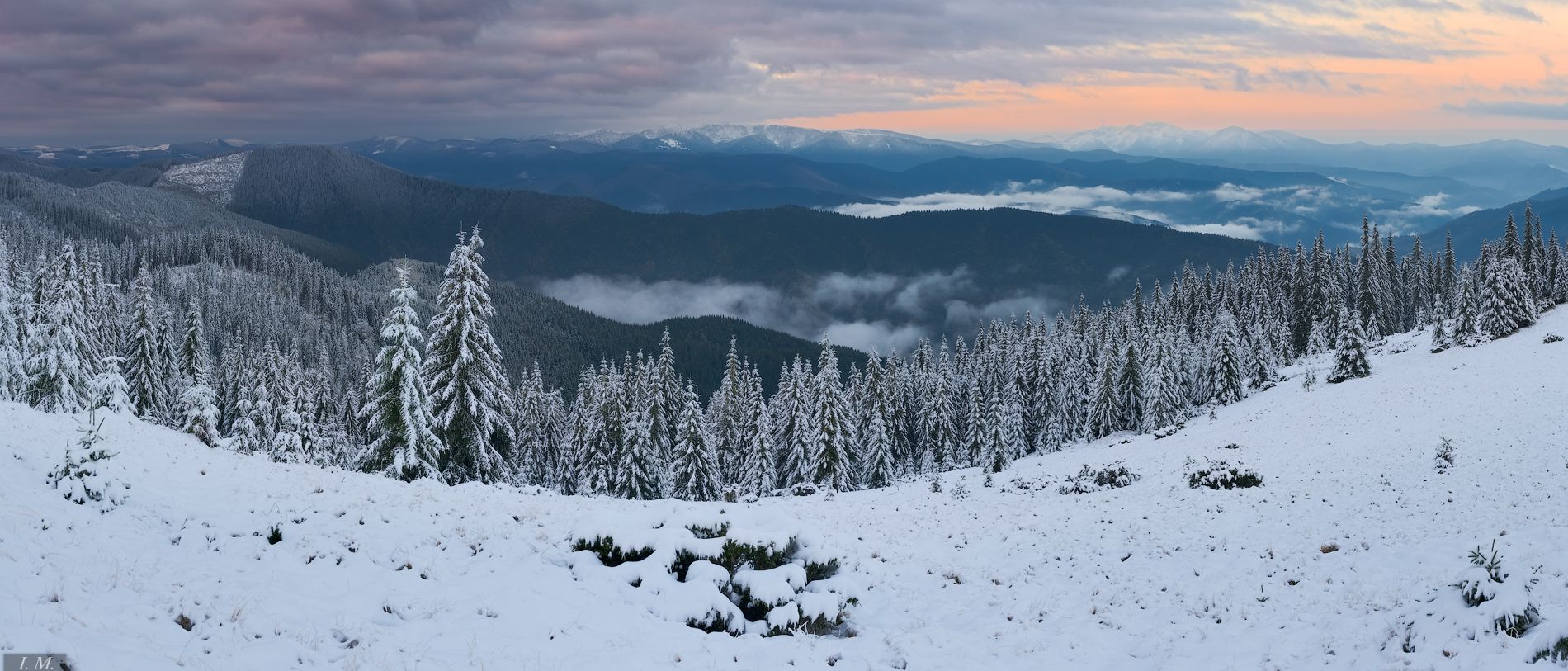 горы, утро, пейзаж, панорама, снег, ели, карпаты, туман, carpathians, mountains, morning, landscape, panorama, pine, trees, fog, mist, clouds, view, sky, snow, Ivan Maljarenko