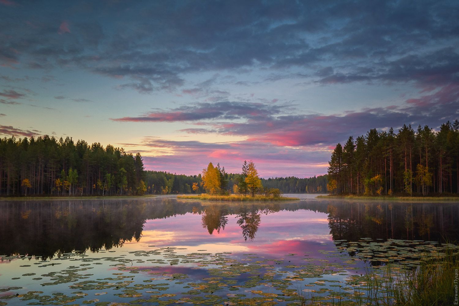 , Евгений Луцко