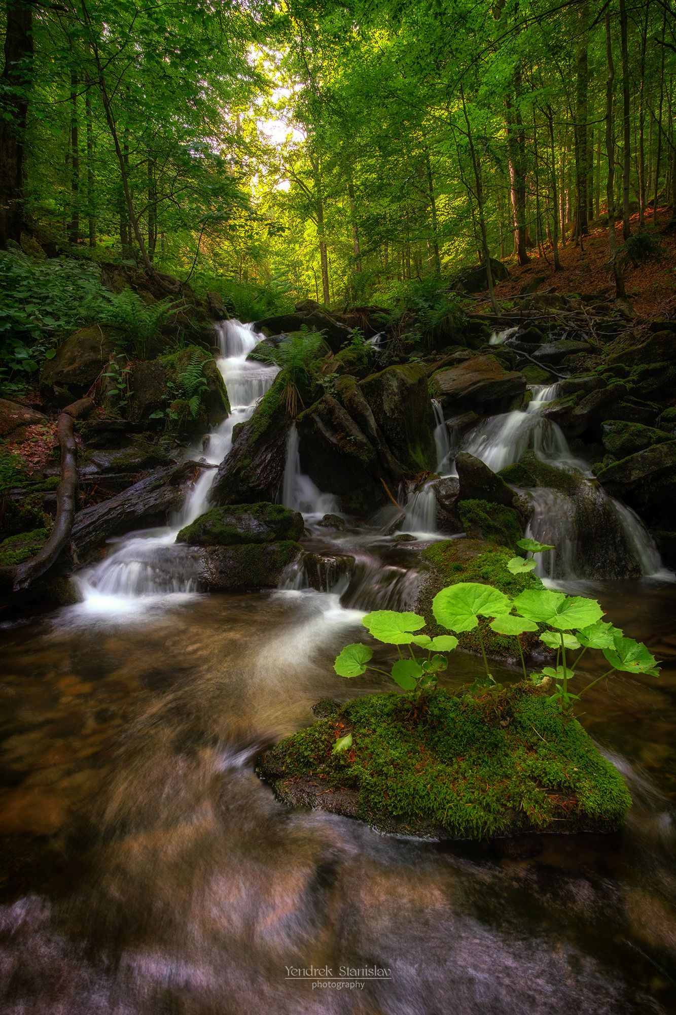 пейзаж лес водопад вода лето карпаты landscape waterfall forest water summer karpaty, Stanislav Yendrek