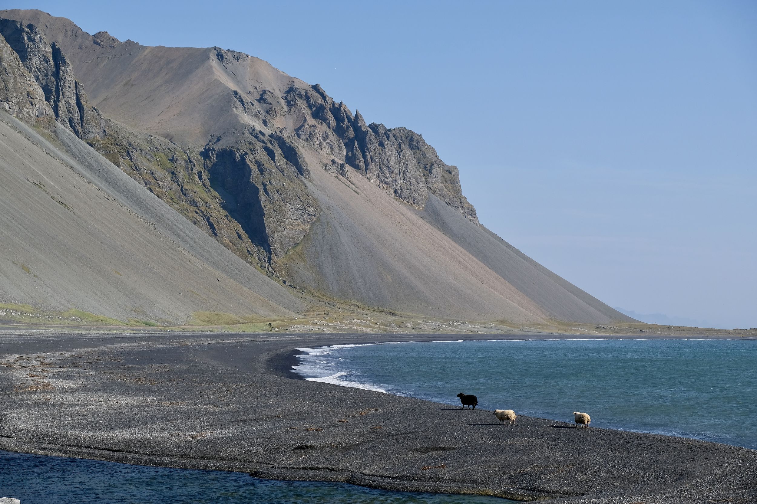 Landscapes, Iceland, nature, ocean, sheep, mountain, animals, water, , Svetlana Povarova Ree