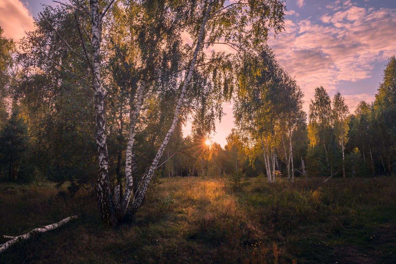 луг осень сентябрь вечер закат, Галанзовская Оксана