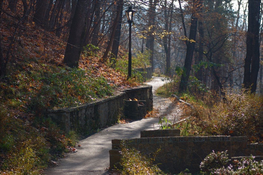 кисловодск, курортный парк, теренкур, поздняя осень,  утро, Kaiser Sozo