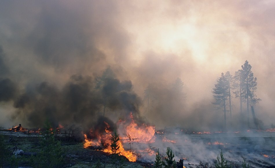 север, лесной пожар, природа, Danil Husainov