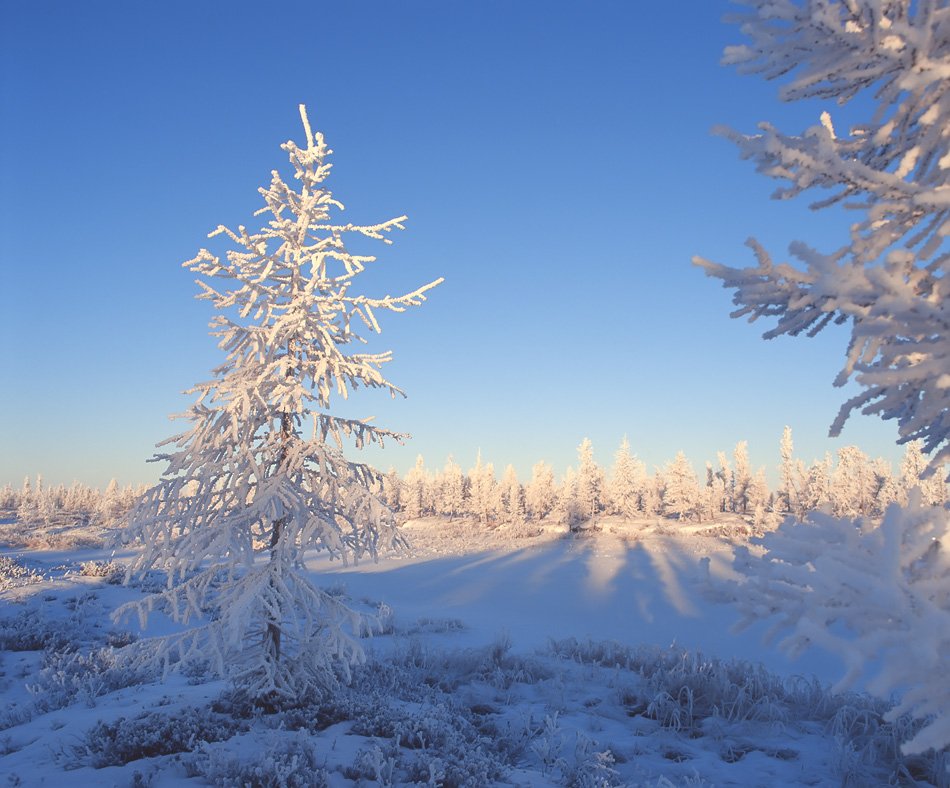зимы прекрасные узоры, север, природа, пейзаж, Danil Husainov