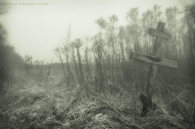 dark folk, misty morning, Сборщик