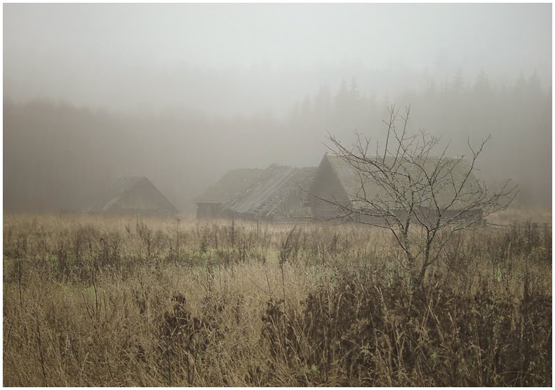 октябрь, туман, русская, деревня, зараменье, Валентин