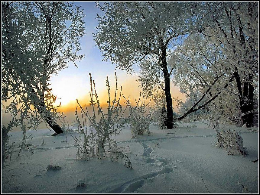 декабрь, снег, река, иней, рассвет, Григорий Иващенко