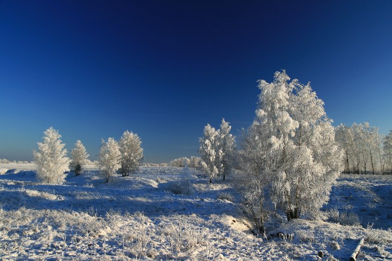 мороз,солнце,иней,деревья,зима, VTORNIK Эдуард Николаев