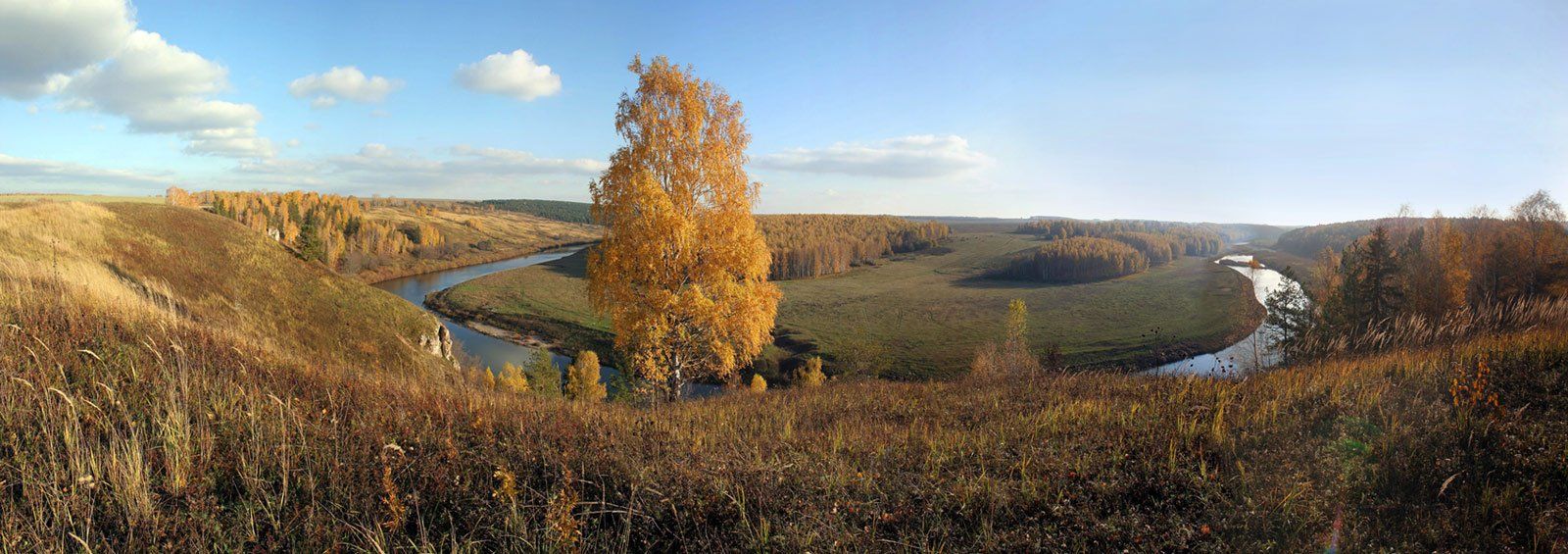 осень, золото, береза, панорама,немда, Клековкин Александр