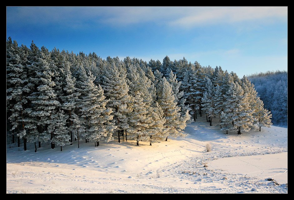 зима, пейзаж, 2009, зимний пейзаж, Алексей Строганов