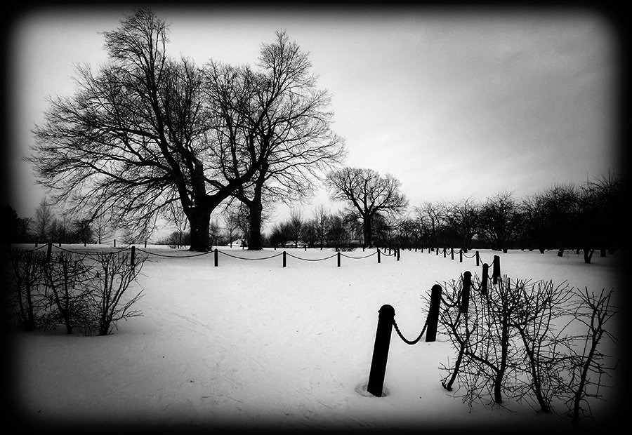 мороз,ветер,дерево,коломенское, Борис Никитин
