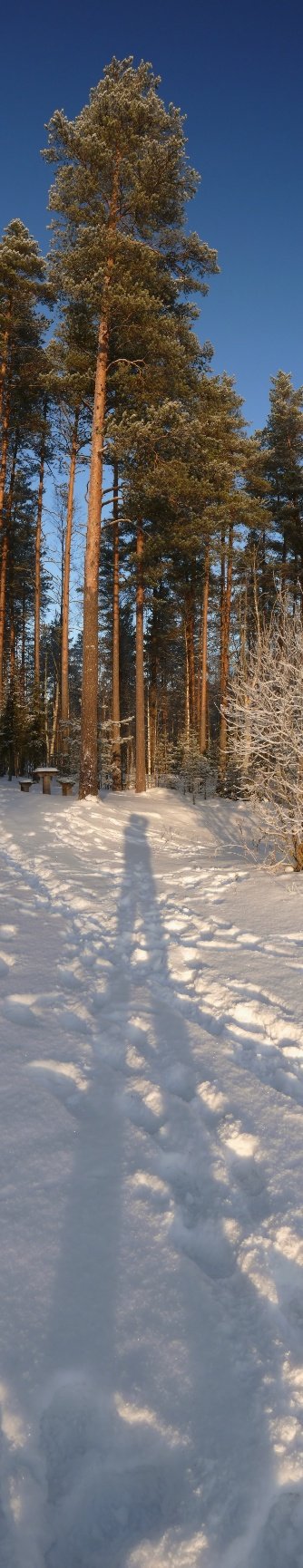 зима, Алексей (zooooom)