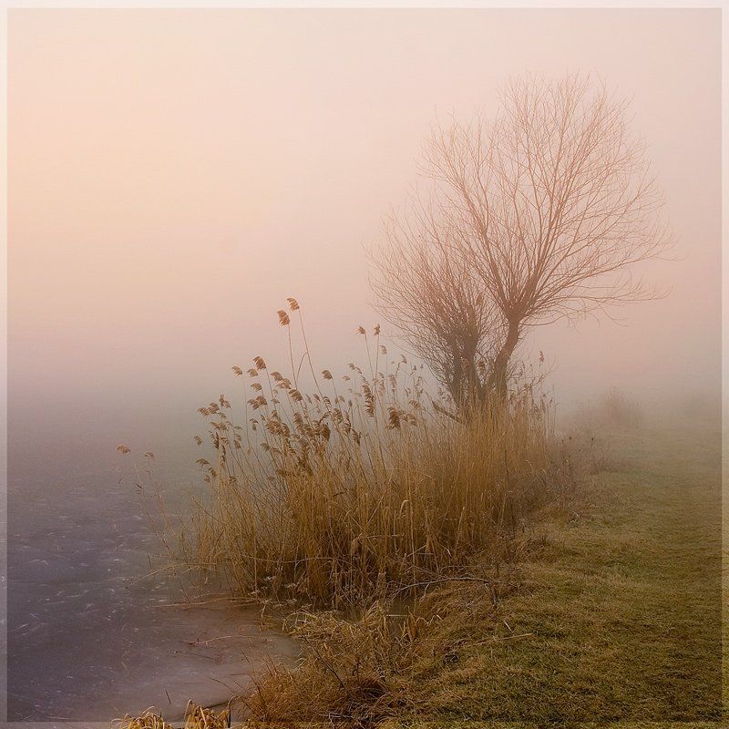 пейзаж, зима, утро, озеро, туман, lad_i_mir, lad_i_mir