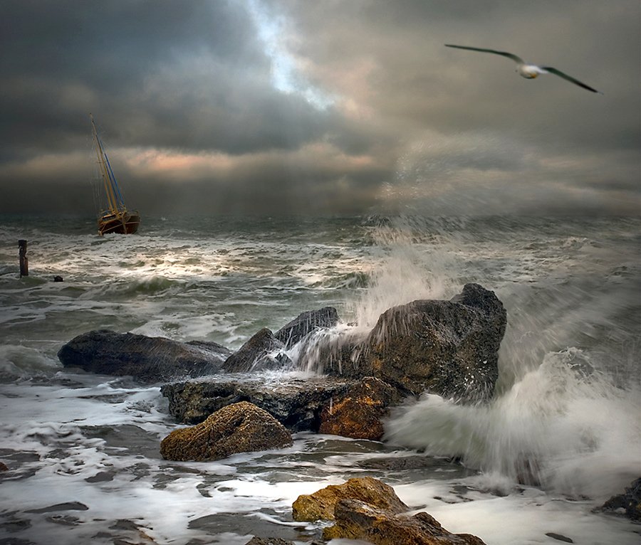комп-арт, море, шторм, ветер, волны, яхта, чайка, камни, lad_i_mir, lad_i_mir