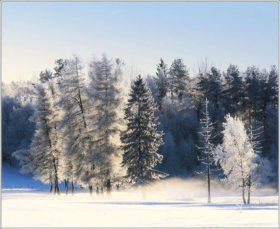 зима, сенг, метель, лес, Григорий Иващенко