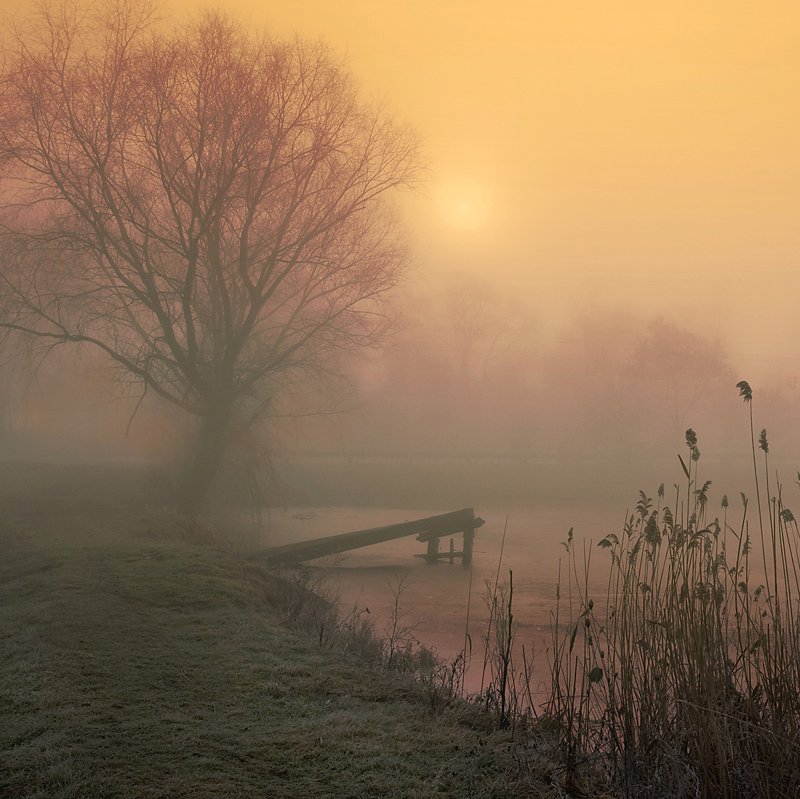 пейзаж, утро, туман, lad_i_mir, lad_i_mir