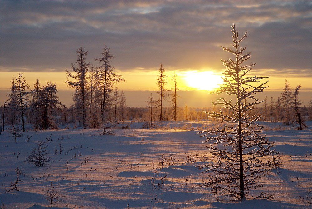 природа, север, зимний пейзаж,  закат, Danil Husainov