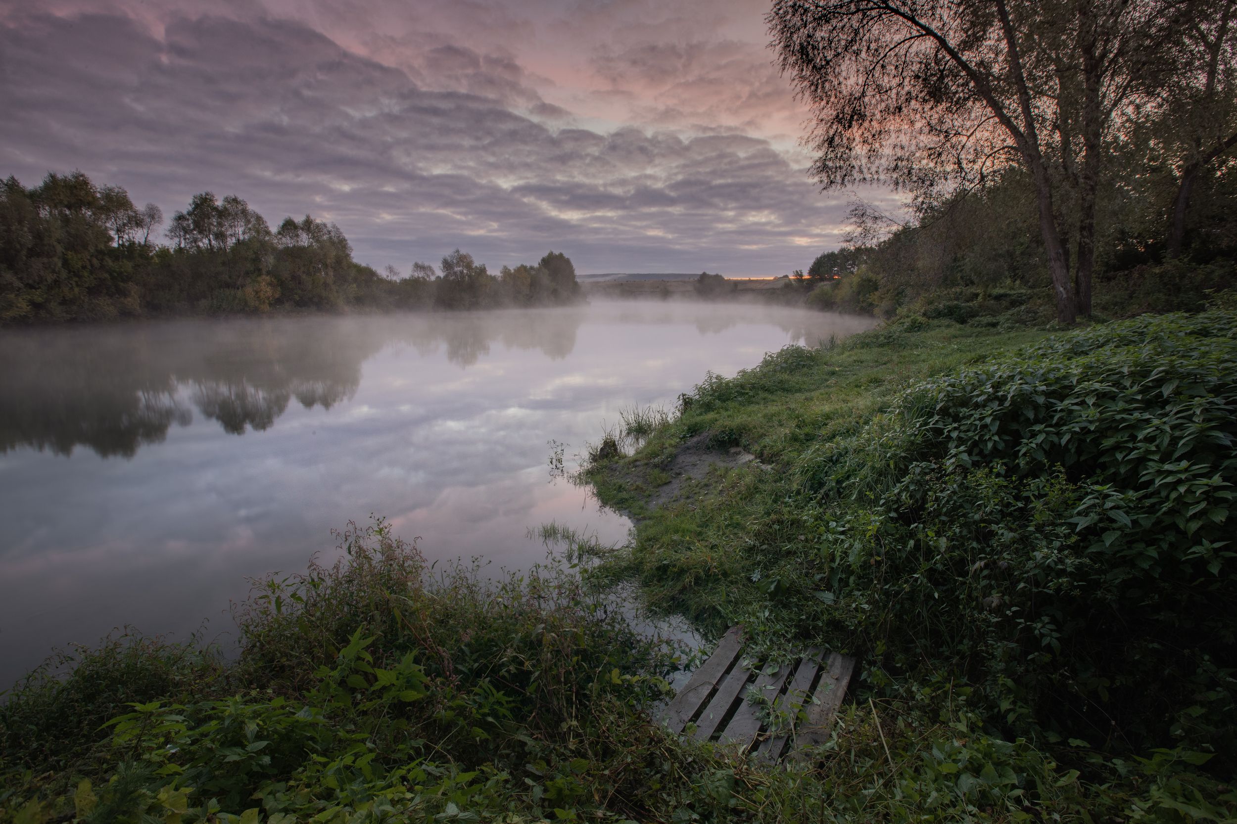 russia, sura, river,mist, fog, dawn, sunrise, forest, penza, россия, сура, река, пенза, дымка, туман, утро, рассвет, восход, Roman Bevzenko