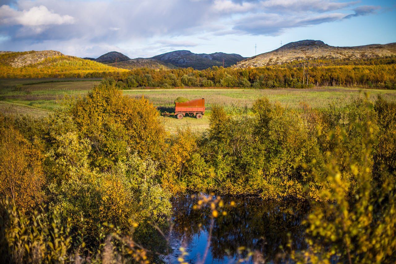 осень, пейзаж, трава, озеро, север, солнце, Алёна Салтыкова
