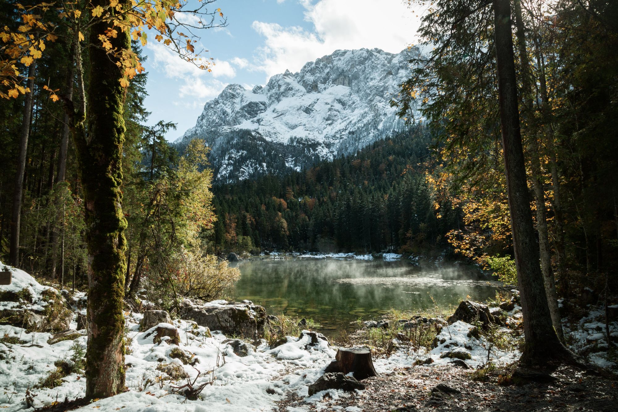 октябрь; осень; снег; горы; лес; альпы; озеро; германия, Александр Удовиченко