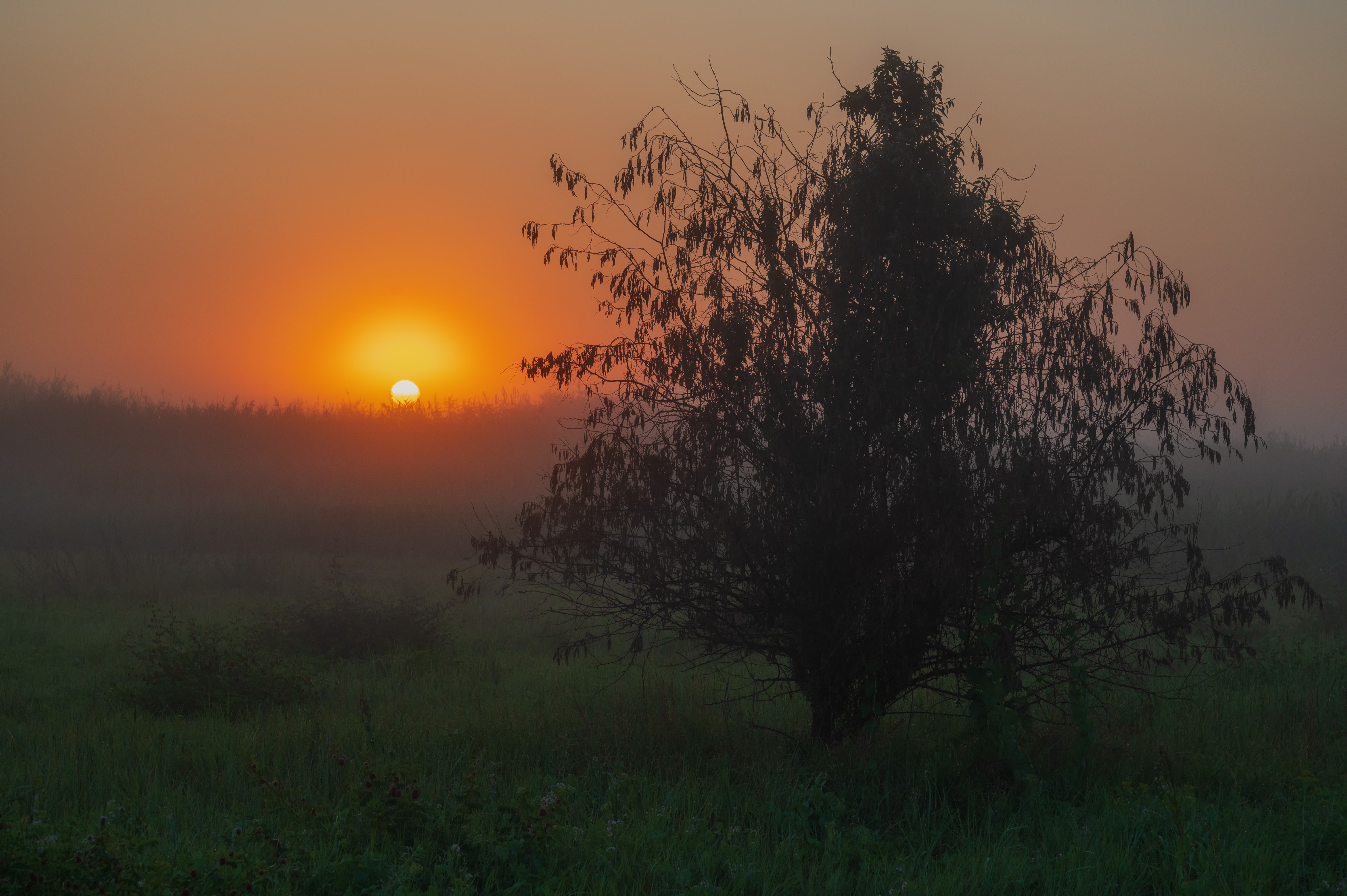steppe sunset dawn nature fog sunlight morning landscape, Егор Бугримов
