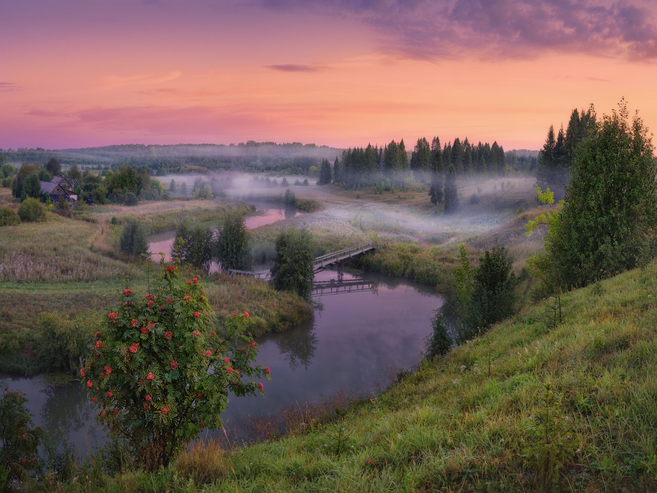 утро, туман, река, Дмитрий Медянцев
