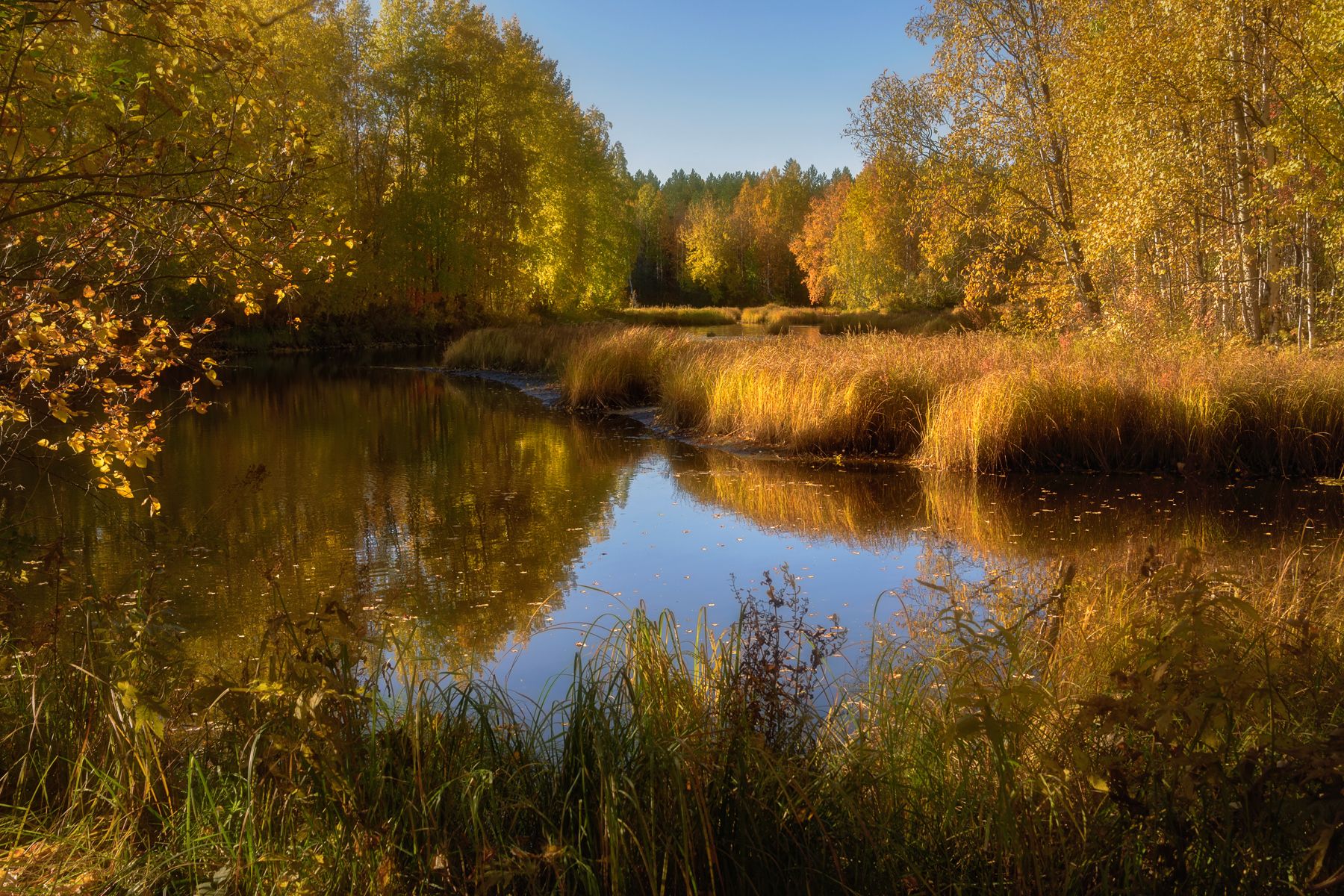 осень сентябрь река берег вода отражения тишина кусты деревья трава, Ра Вера