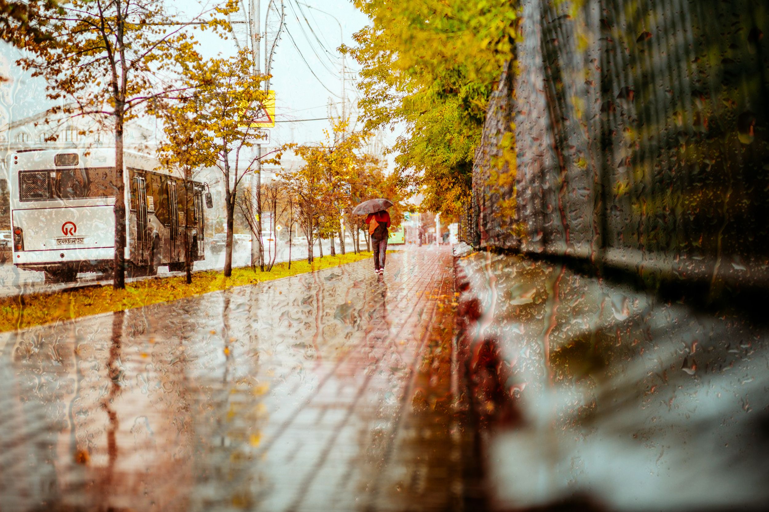 пейзаж,фотограф,осень,город, Roman Punenko