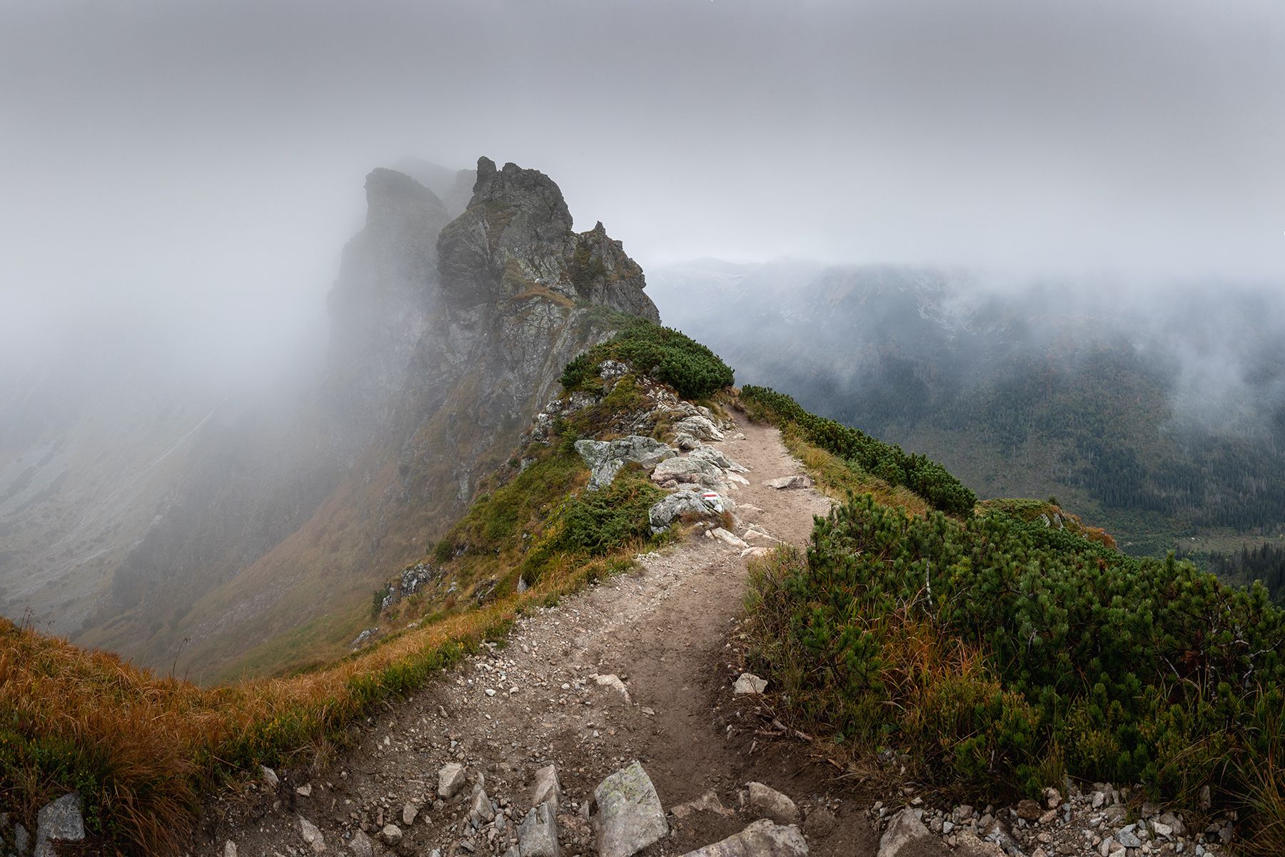 mountains, autumn, poland, slovakia, Michał Kasperczyk