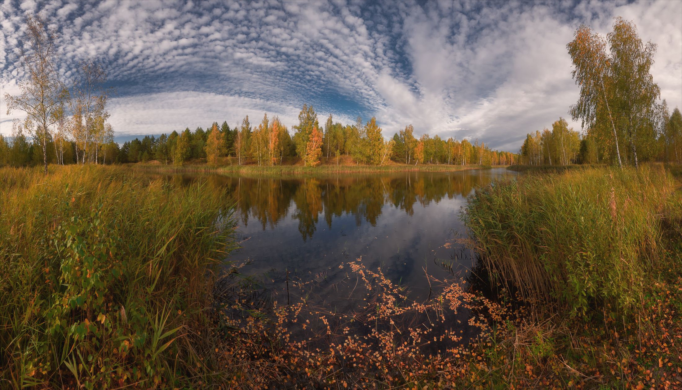 , Алексей Богорянов