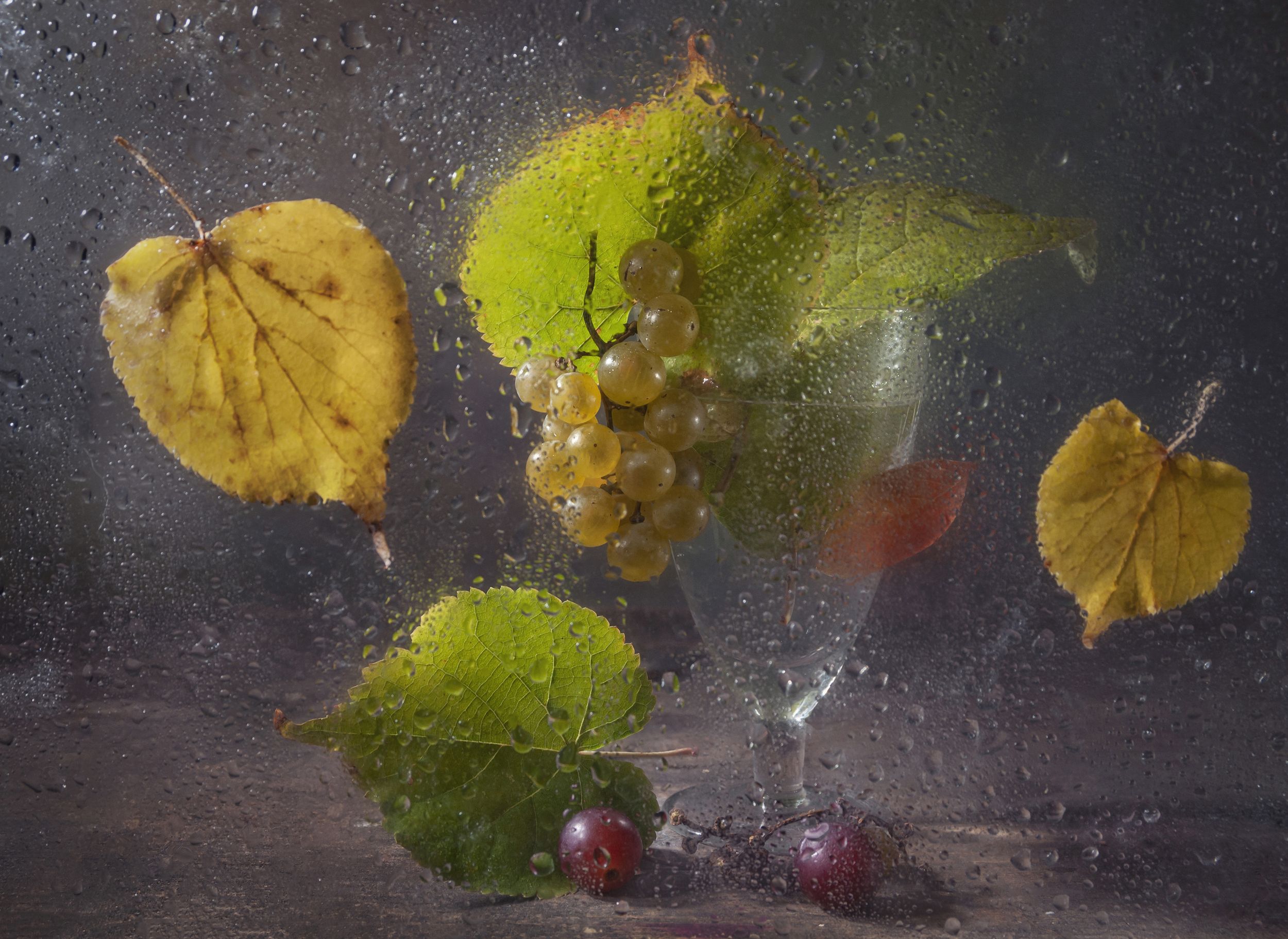 листопад,виноград,бокал,осень,листья,краски,гроздь, Владимир Володин