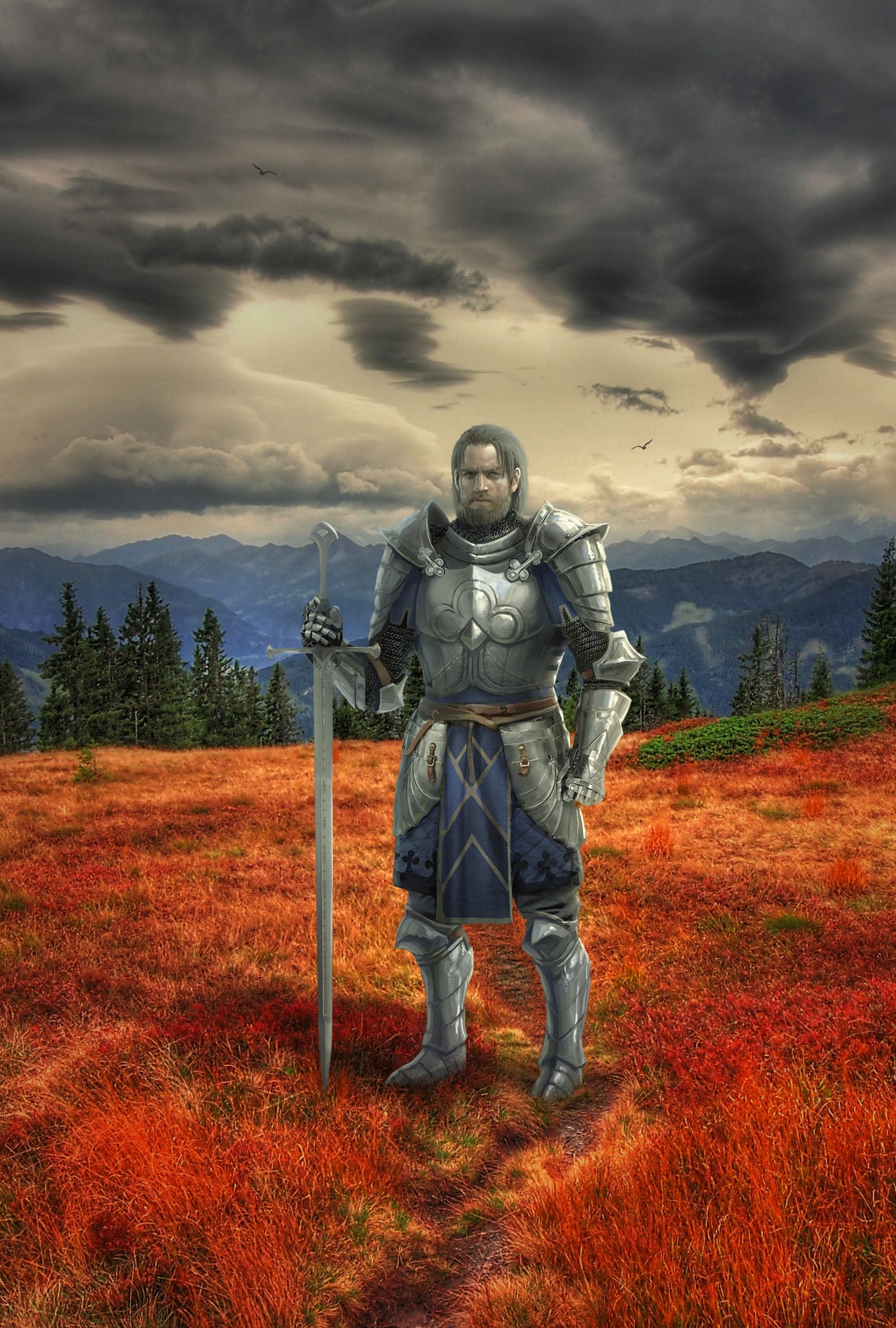 рыцарь, поле, горы, Sergii Vidov