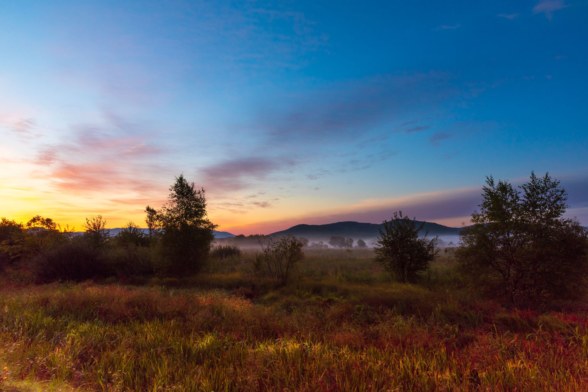 утро, рассвет, туман, осень, пейзаж, Константин Костин