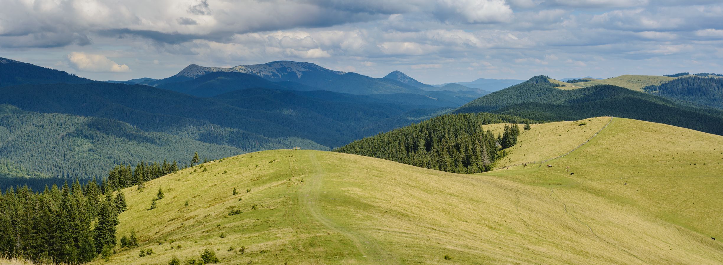 Карпаты, горы, природа, пейзаж, Украина, Горганы, Piligrim