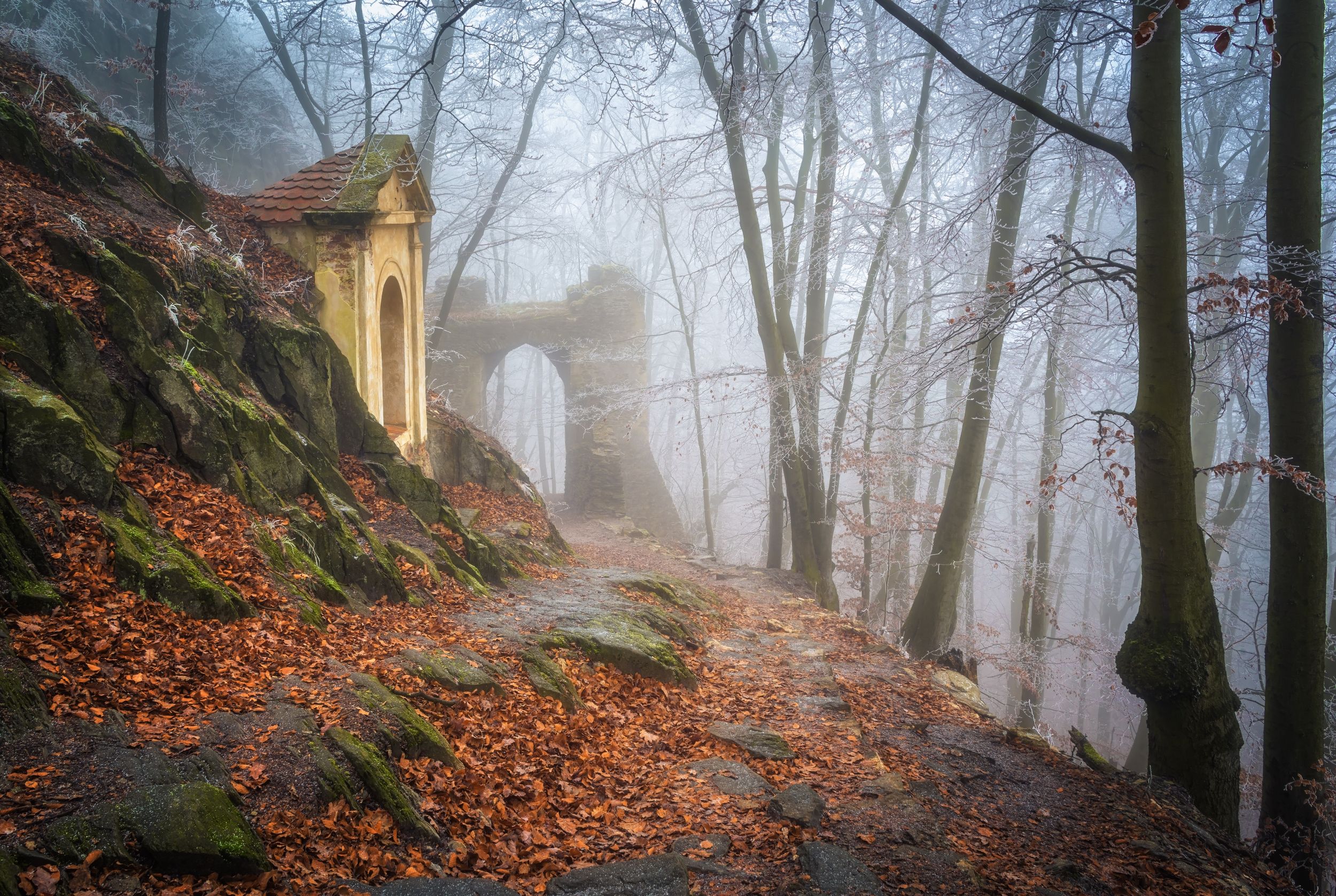 утро туман мороз иней лес камни осень зима чехия тишина природа пейзаж путешествия, Андрей Ожерельев