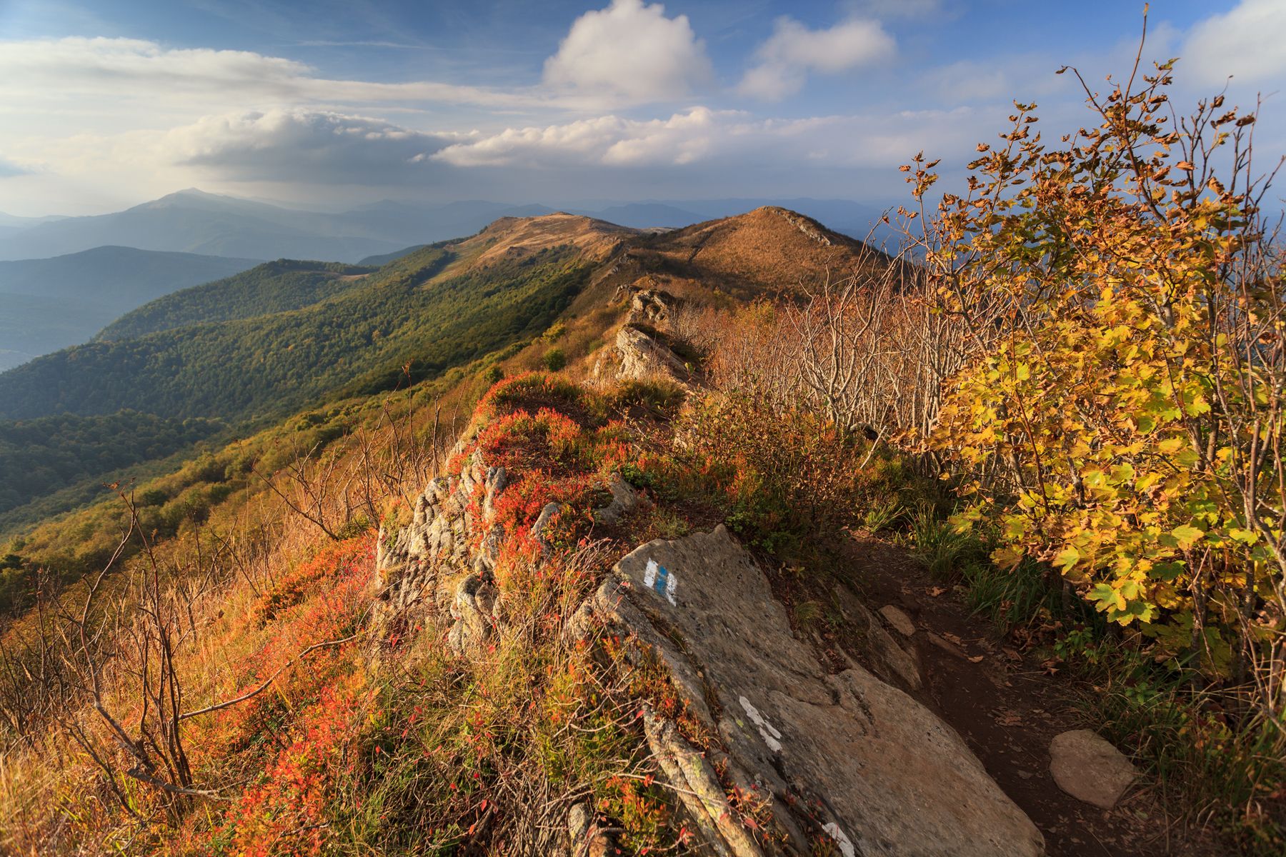 bieszczady, mountains, national, park, poland, autumn, colors,,  Mirosław Pruchnicki