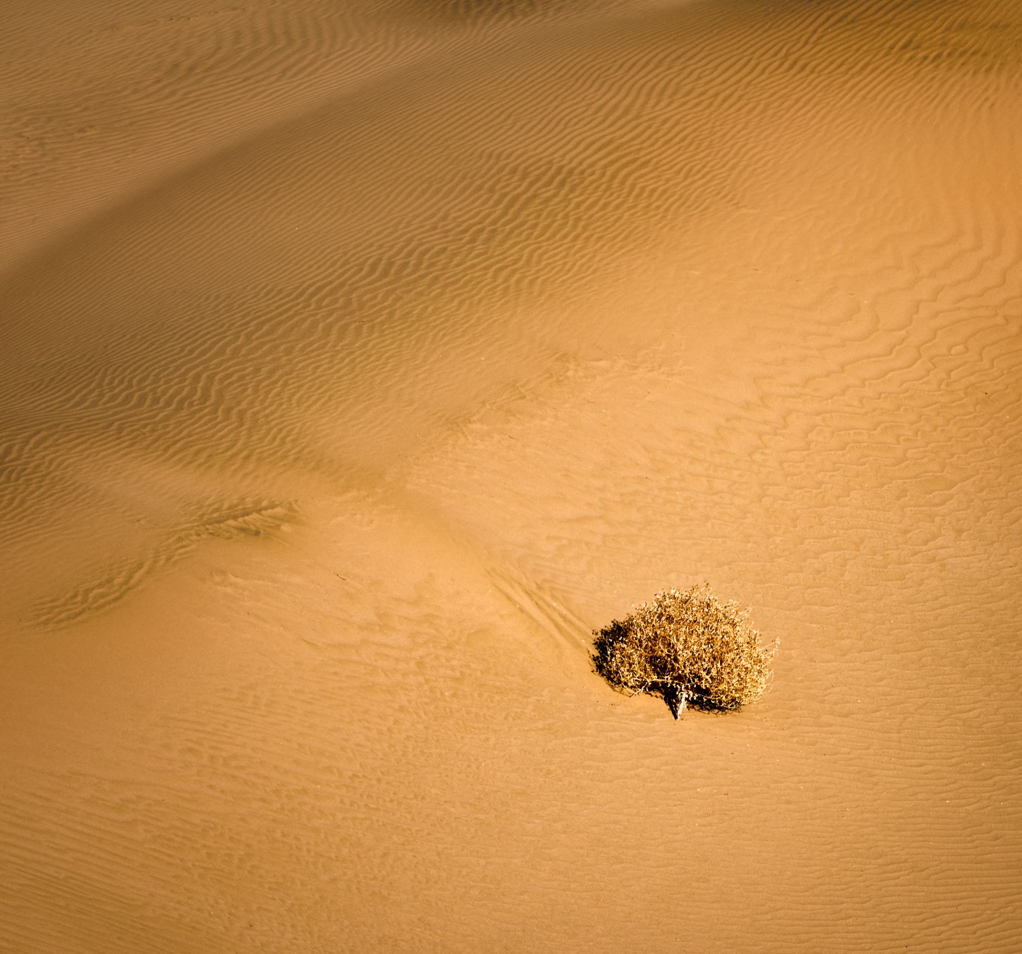 пески, пустыня, минимализм, Константин Леонтьев
