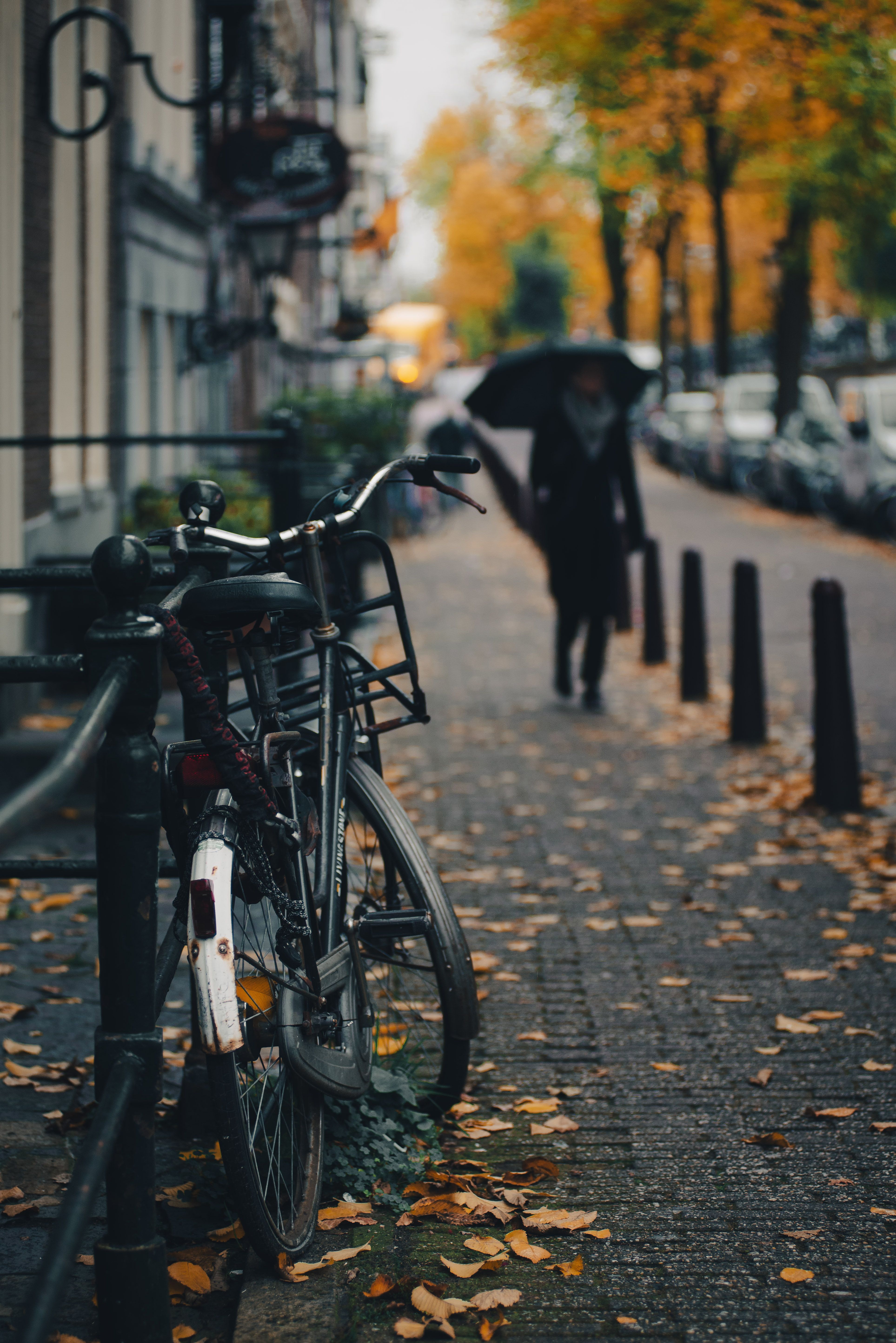 amsterdam canal cycling autumn netherlands street rain umbrella, Егор Бугримов