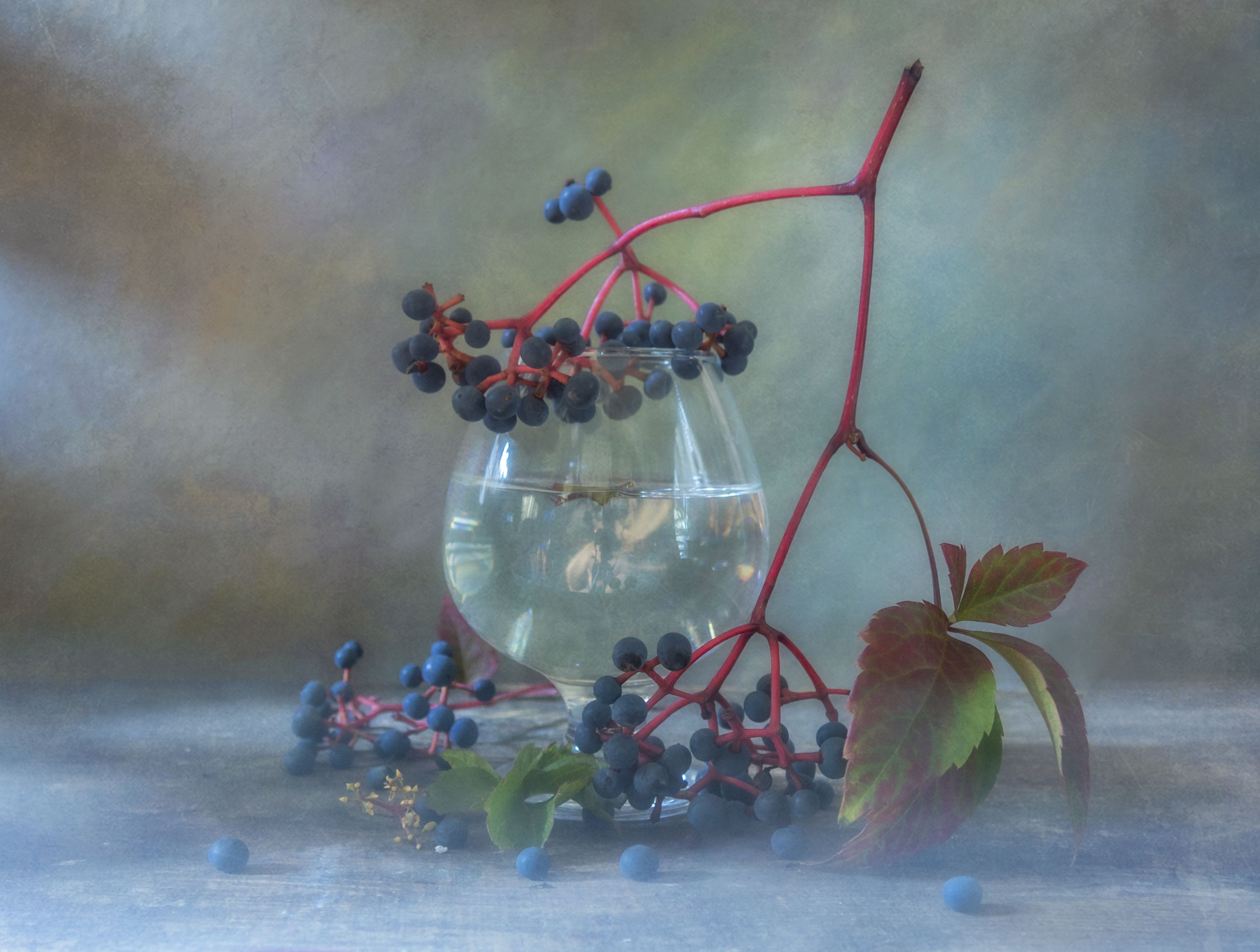 осень,виноград,бокал,вода,листочки,дымка, Владимир Володин