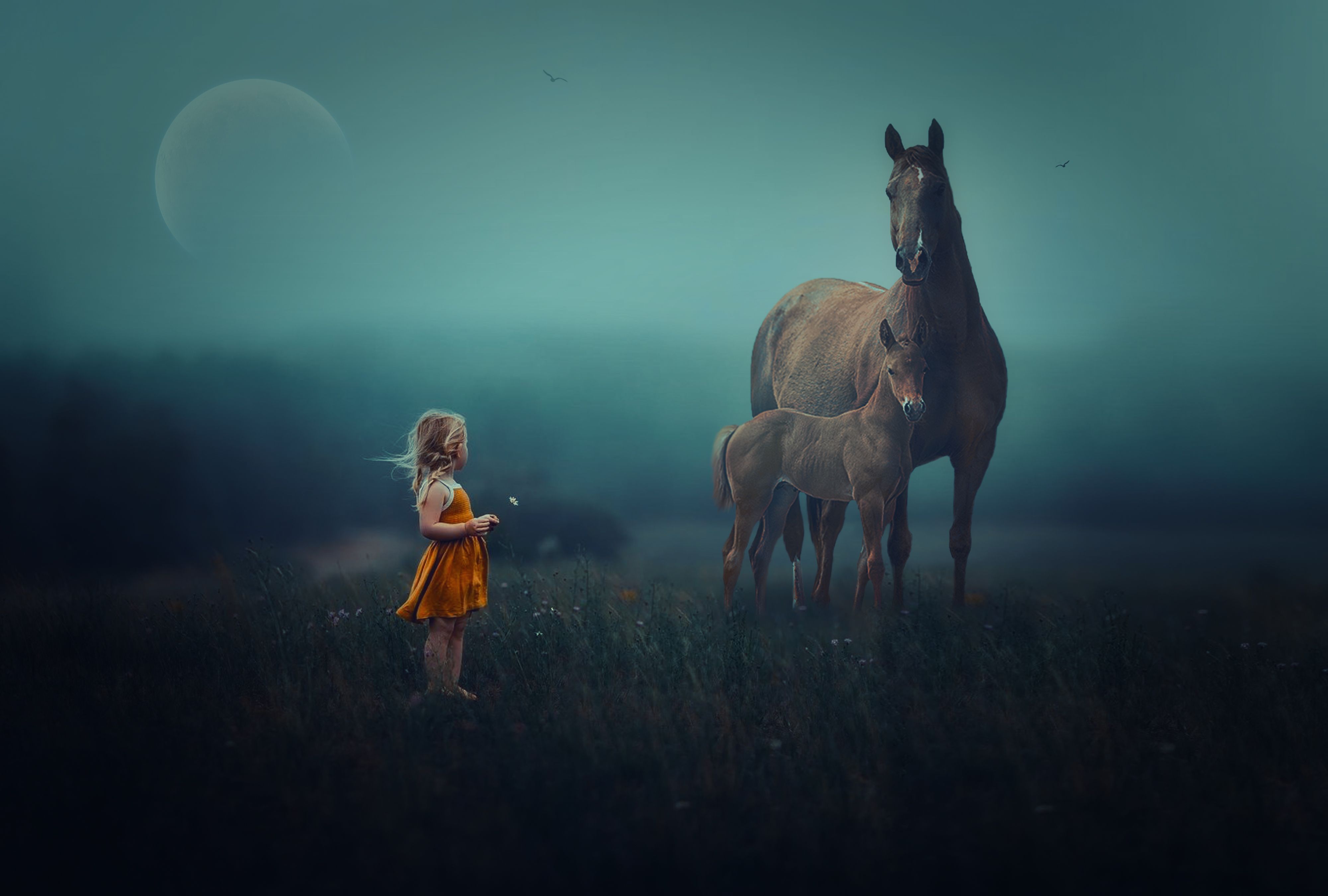 поле, туман, девочка, лошади, Sergii Vidov