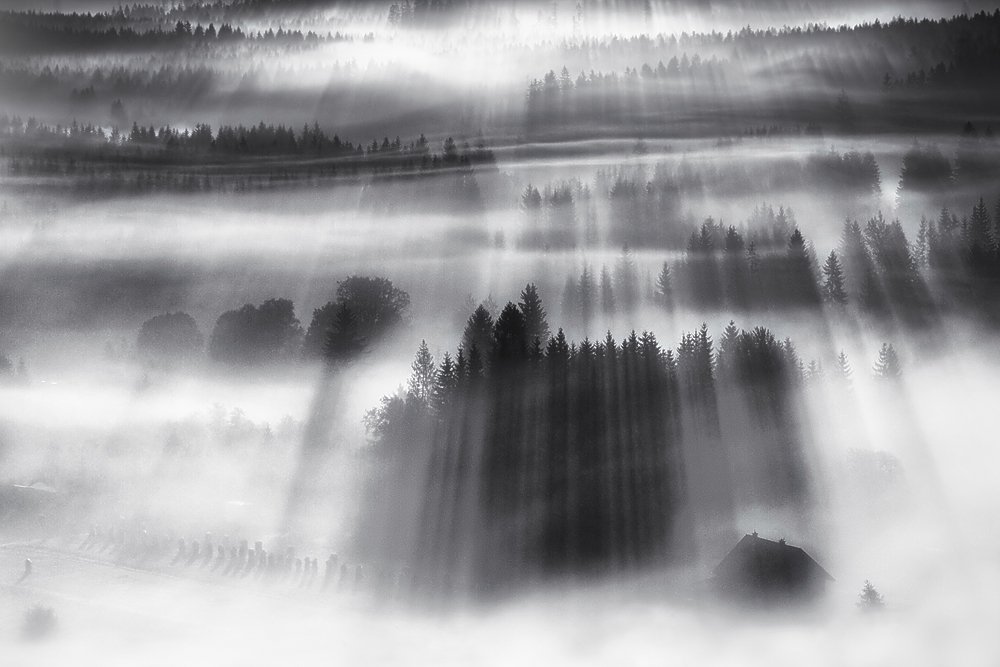 Fog, Light, Mountains, Boguslaw Strempel