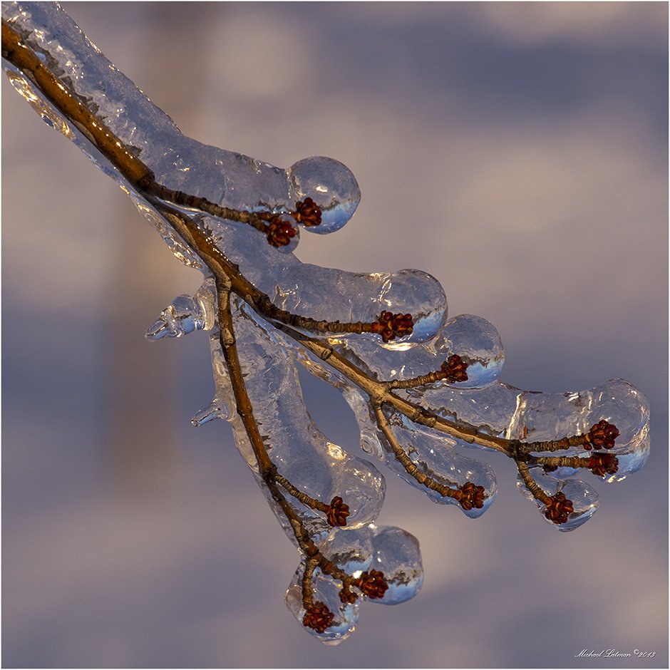 Crystal, Evening, Ice, Rein, Sunset, Winter, Michael Latman