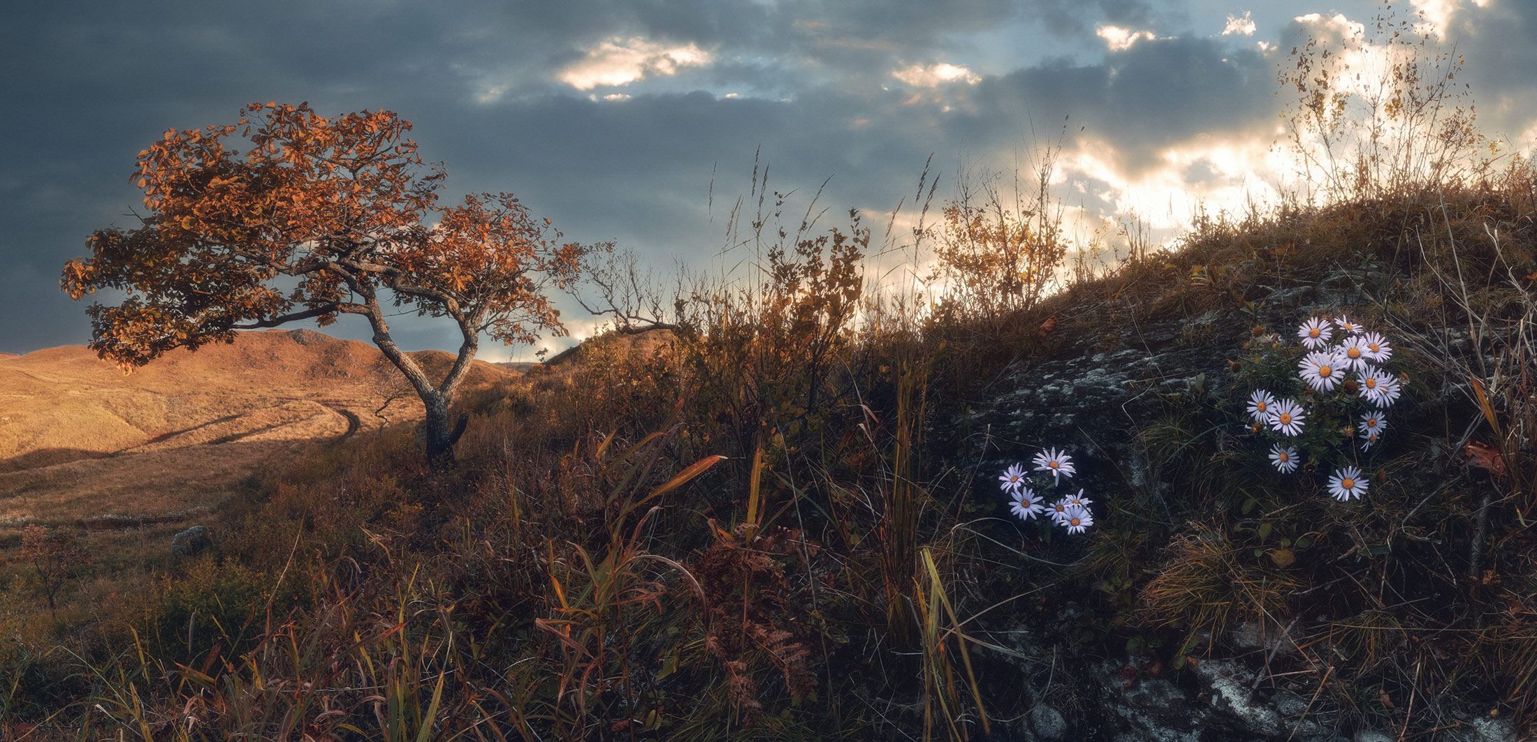 панорама, осень, утро, Андрей Кровлин