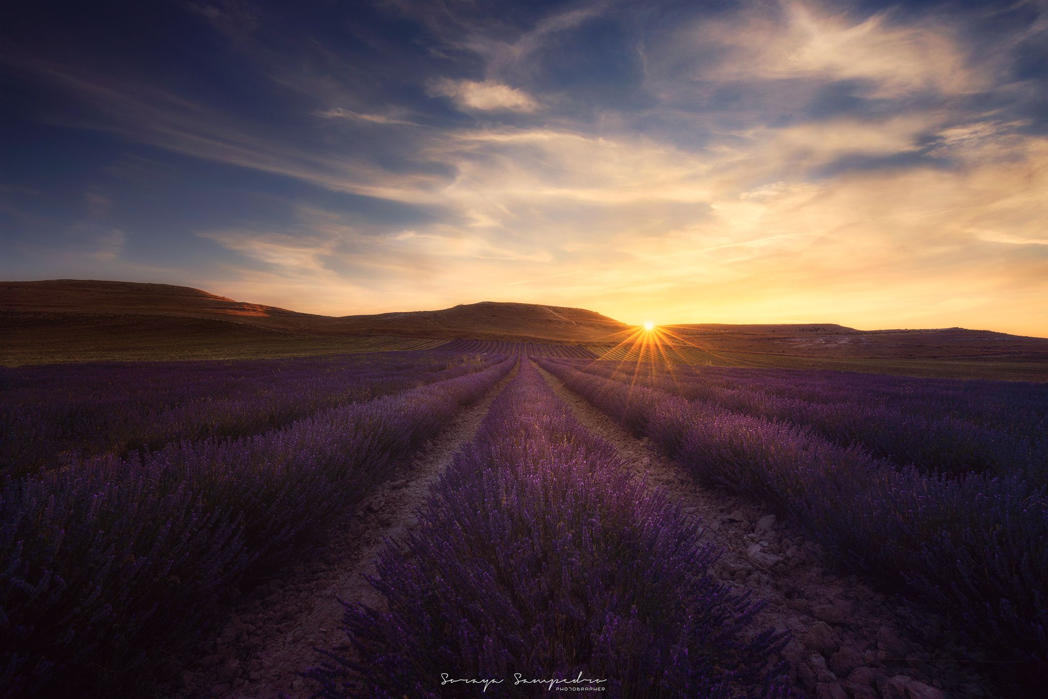 #sunset, #fields, #cloudy, #sun, #sunstar, #purple, #smell, #spain, #lavender, SORAYA SAMPEDRO