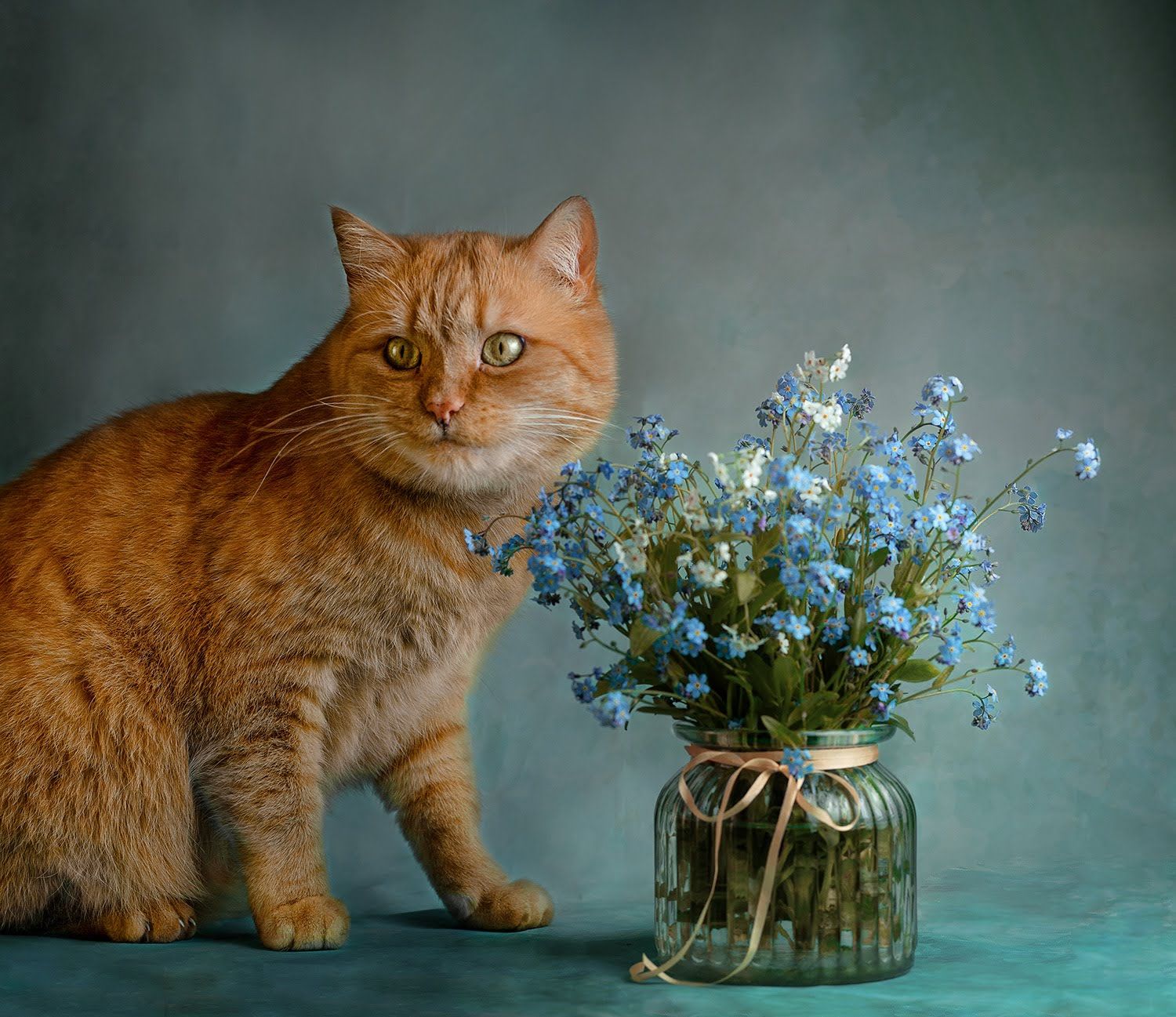 red, cat, blue, flowers, red cat, blue flowers, animal, pet, feline, kitten, domestic, fur, red, orange, animals, pets, mammal, kitty, cats, tabby, ginger, furry, sleep, eyes, looking, fluffy, adorable, cute, hair, whiskers, Анжелика Костин