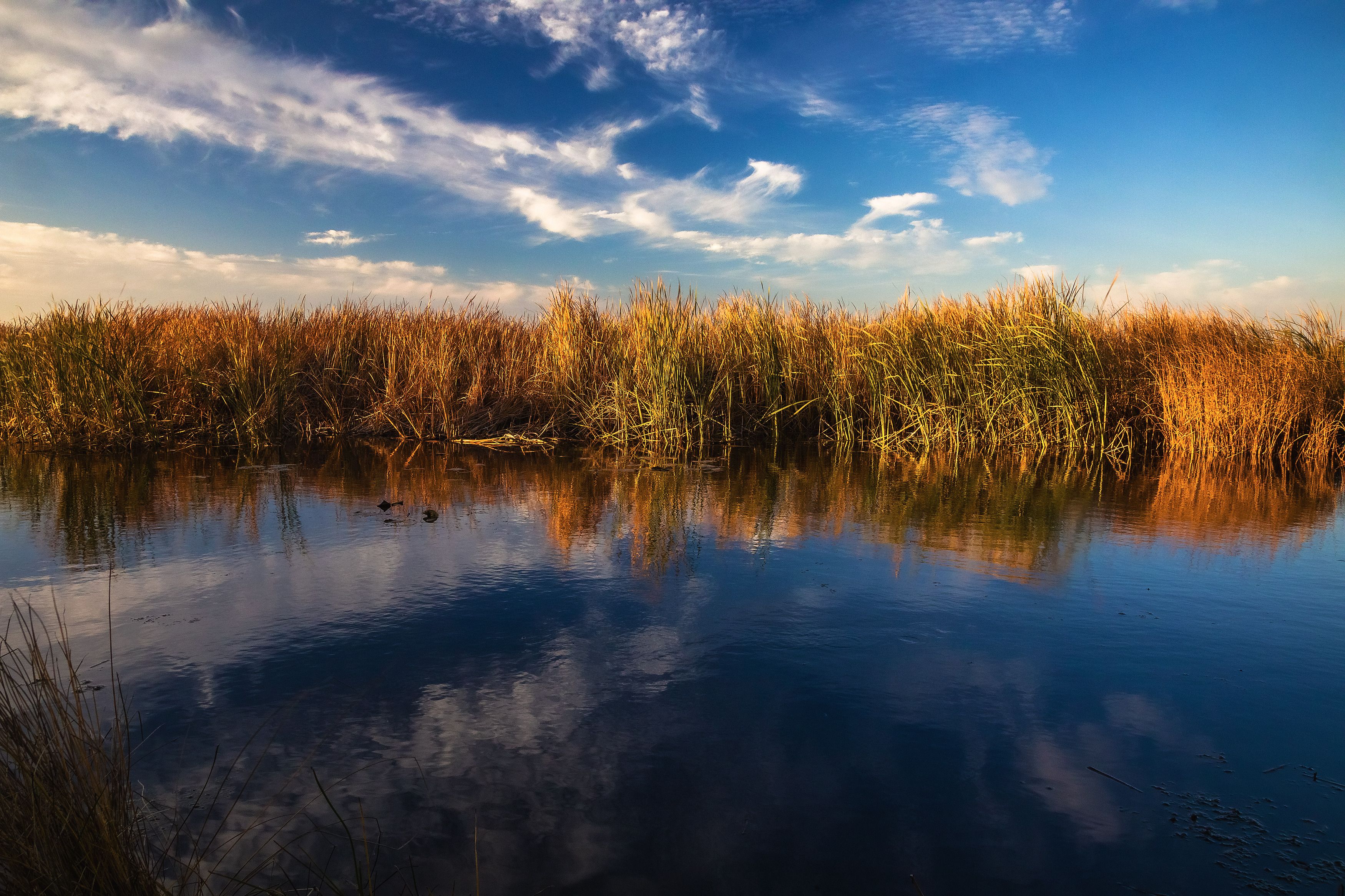 пейзаж, осень, природа, залив, небо, камыш, Александр Игнатьев